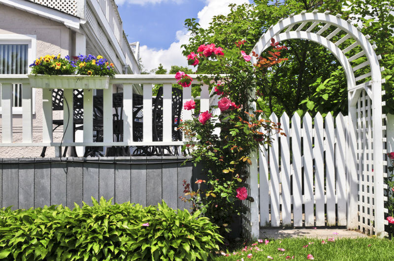 bright white picket fencing and arbor with blooming red roses in a garden