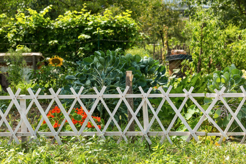 short wooden picket fence for the garden