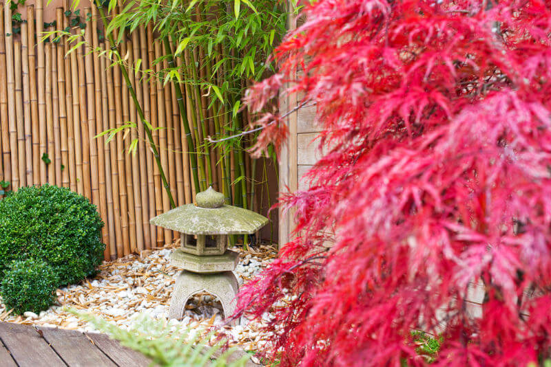 zen garden with decorative bamboo fencing