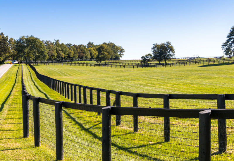подвійний дротовий паркан на коне фермі з літнім заміським пейзажем