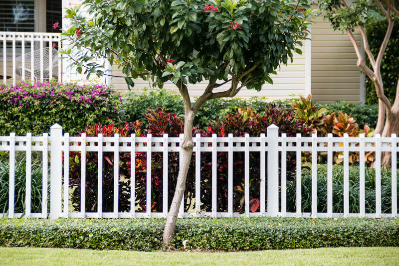 spaced white picket fencing in front yard